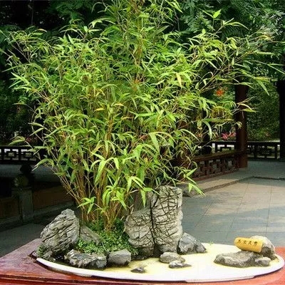 一次性竹筷